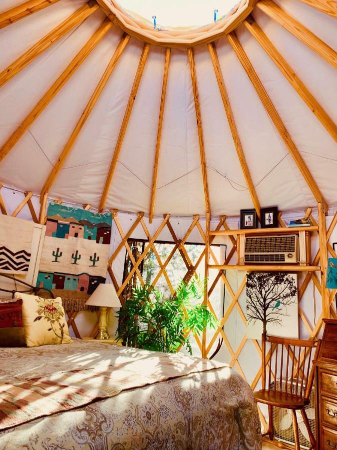 The Yoga Yurta At Sunny Mellow Eco Villa Tijeras Exteriör bild